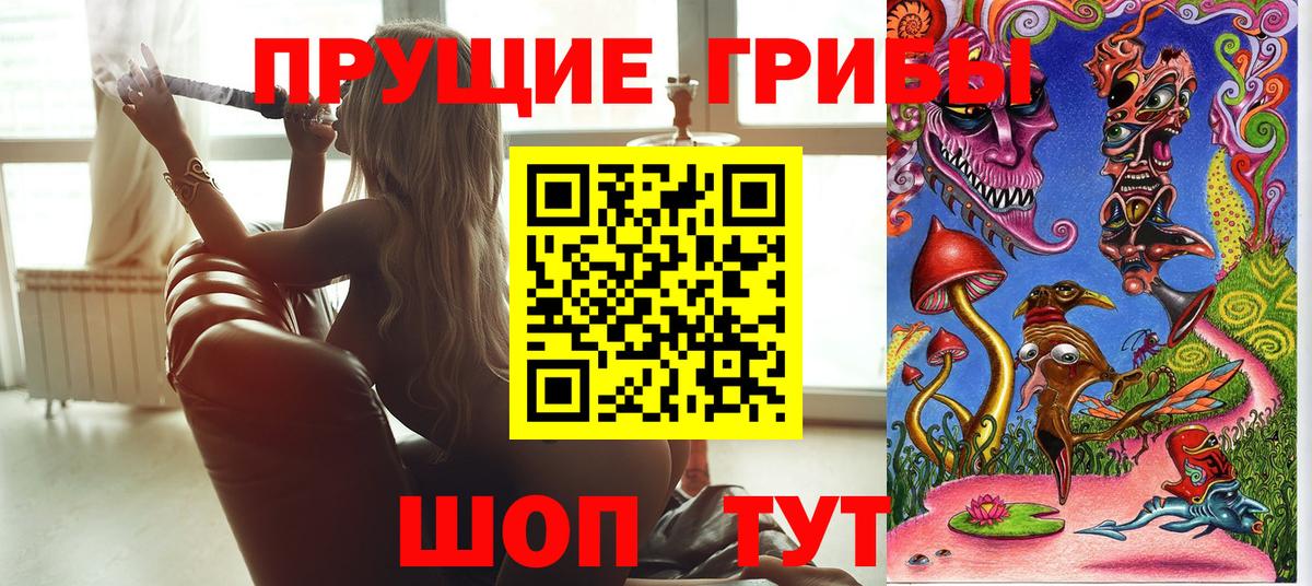 Галлюциногенные грибы мицелий Богородск