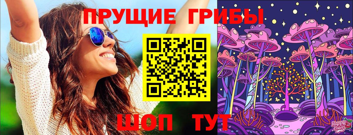 Псилоцибиновые грибы Psilocybe  Вход с VPN  хочу   Богородск 